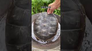 Turtle jelly Chinese Mountain Forest Life And Food MoTiktok Fyp [upl. by Nannoc]