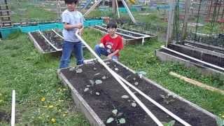 Drip Irrigation Sytem For Backyard Garden  Simple Gardening Ideas By Young Gardeners Aiman amp Hizami [upl. by Lainey]