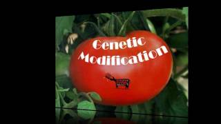 Genetic Modification  Food for thought [upl. by Ledba]