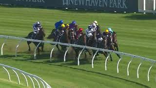 JOLIESTAR WINS THE ARROWFIELD SPRINT AT RANDWICK [upl. by Aldridge]