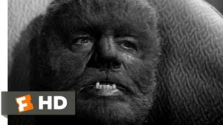 Abbott and Costello Meet Frankenstein 111 Movie CLIP  The Wolf Man Transforms 1948 HD [upl. by Alegnat]