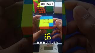 OLLs used by Pro Speedcubers day 5 with zaxcuber [upl. by Harutak]