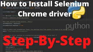 How to Install Selenium Chrome Driver on Mac [upl. by Flight391]