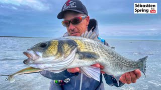 GROS BARS en wading  Pêche sur lîle de NOIRMOUTIER [upl. by Gusba]