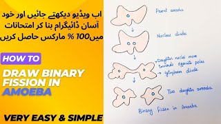 How to draw very easy amp simple diagram of Binary fission in amoeba [upl. by Hametaf]