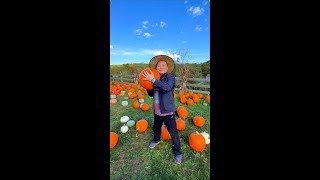 My Korean Parents First Apple Picking [upl. by Tamsky]