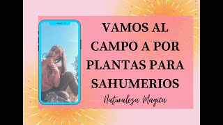 Cómo hacer SAHUMERIOS artesanales paso a paso  FÁCILES Y GRATIS 🌿🌿🌿 [upl. by Araeit]