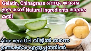 Aloe Vera Gel  കറ്റാർവാഴ ജൽ വീട്ടിൽ ഉണ്ടാക്കാം  How to make Aloe Vera Gel at home [upl. by Nadbus]