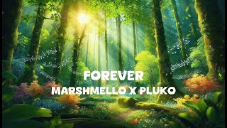 Marshmello x Pluko  Forever Lyrics [upl. by Aihsyla]