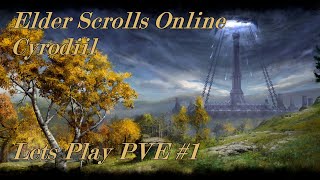 Elder Scrolls Online  Cyrodiil PVE Lets play 1 [upl. by Elletse]