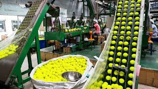 देखिए Factory कैसे तैयार होते हैं Tennis Ball टेनिस बॉल  Modern Goods Manufacturing Processes [upl. by Saretta368]