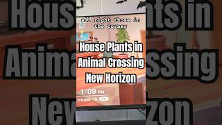 Animal Crossing New Horizons needs more house plants options ACNH [upl. by Pietrek]