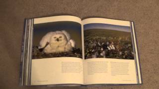 ASMR  Page turning  45  Arctic Book  no talking [upl. by Enra]