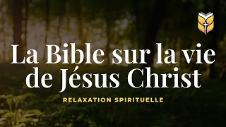 La Bible sur la viede Jésus Christ Relaxation biblevision [upl. by Arnulfo971]