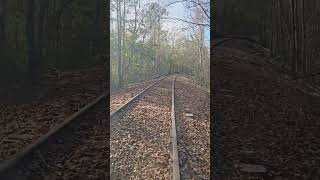 Rail riding over WASHOUTS railkart railriders railroad [upl. by Malet]