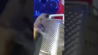 SpiderMan cheese grater asmr [upl. by Abran]