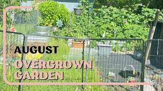 My Overgrown Garden Update [upl. by Fara]