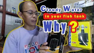 Sponge Filter and Air pump efficiency for Beginners Intermediate and Pro Hobbyist [upl. by Anelem]