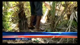 Murdered Manguzi 21 year old with Albinism laid to rest [upl. by Ecilegna]