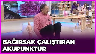 Bağırsak Çalıştıran Akupunktur Noktaları  Dr Feridun Kunak  22 Ocak 2019 [upl. by Eel135]