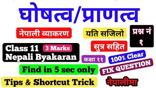 घोषत्व र प्राणत्व  Class 11 Nepali Byakaran नेपाली व्याकरण  find in only 5 sec  Tips amp Tricks [upl. by Aryt]