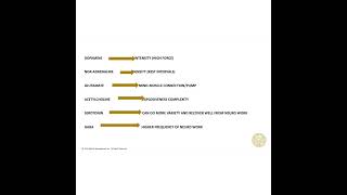 What effect do Neurotransmitters have on your training [upl. by Foah]