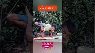 How to do makshikanagasana yogapractice hindisong youtubeshorts Vyayamaguru [upl. by Stent]