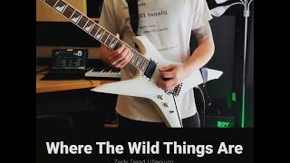 Where The Wild Things Are  Illenium amp Zeds Dead  CHMPNZ Guitar Jam [upl. by Glass]