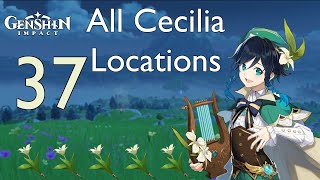 Genshin Impact l All Cecilia Locations [upl. by Black88]