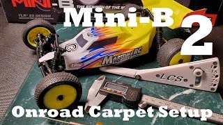 Review Losi MiniB 2wd Buggy RTR Part 2  Onroad Carpet Setup [upl. by Nich]