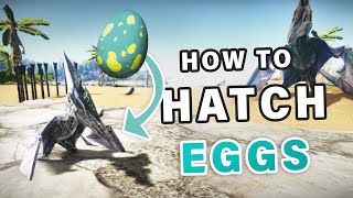 How to Hatch Eggs ► Ark Survival Evolved [upl. by Fadden]