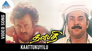 Thalapathi Tamil Movie Songs  Kaattukuyilu Video Song  Rajnikanth  Mammootty  Ilayaraja [upl. by Rutan]