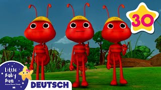 Die Ameisen marschieren  Kinderlieder  Little Baby Bum Deutsch  Cartoons für Kinder [upl. by Fillender]