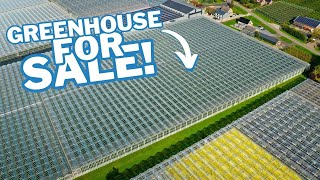 FOR SALE Venlo greenhouse 800 m 26663 m² [upl. by Llemor]