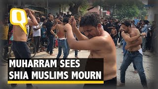 Watch the CenturiesOld Mourning Practice of Shia During Muharram  The Quint [upl. by Sikras]