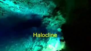 Halocline  What is Halocline [upl. by Nedrud]