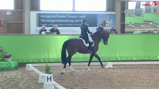 Dressurturnier Walldorf  Dorothee Schneider  Kurz Grand Prix [upl. by Nerraf]