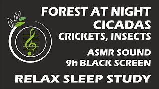 Sound of forest at night crickets cicadas insects  9 hours ASMRNatureSound [upl. by Akenom196]