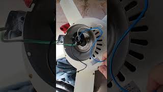 How many wires does a residual ceiling fan have [upl. by Laval]