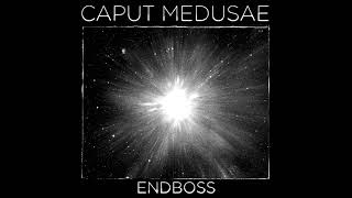 Caput Medusae  Endboss [upl. by Eirrehs692]