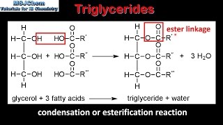 B3 Triglycerides SL [upl. by Ricketts]