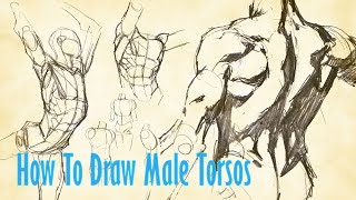 How To Draw Male Torsos [upl. by Granthem154]