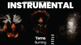 INSTRUMENTAL BEAT  Burning  Tems [upl. by Amend713]