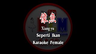 Xiang yu  像魚  Female  Karaoke  Terjemahan  Pinyin  Lyrics  Lirik [upl. by Aryl]