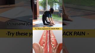 Say good by to back pain  Yoga for back pain relief yogapractice yogacoach [upl. by East]