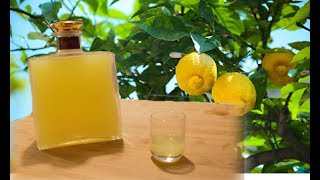 Homemade Limoncello  Italian lemon liqueur recipe [upl. by Fraase167]