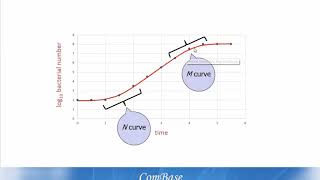 Phases of bacterial growth and inactivation [upl. by Llerihs]