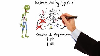 Pharmacology  ADRENERGIC RECEPTORS amp AGONISTS MADE EASY [upl. by Green739]