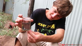 Building an Inexpensive Water Filter  Slow Sand Filter  Weekly Peek Ep4 [upl. by Gwenn]