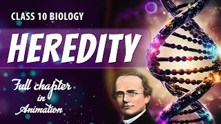 CLASS 10 HEREDITY amp EVOLUTION Full chapter explanation Animation  NCERT Class 10 Chapter 8 [upl. by Odlaumor]